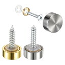 ミラーネジ 装飾キャップファスナー釘カバー シルバートーン、ゴールドトーン(各色6個) 12 mm 12個