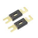 ブレードヒューズ 250A DC 32V 絶縁高温 ANLヒューズ 電気保護 2個入り