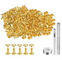 200セットのレザーリベット 6mm x 8mm メタルダブルキャップリベットスナップスタッドファスナーと3個の設置ツール レザークラフトDIY装飾用 金色トーン