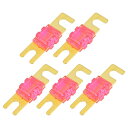 Hihaha ミニANLヒューズ200A / 車両用オーディオCDヒューズ / 耐久性 / 5個セット 金色 桜色