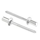ブラインドリベット 304ステンレス鋼 プルリベットコア 装飾リベット シルバートーン 直径4 mm グリップ長さ10 mm 100個