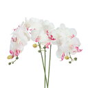 PATIKIL 造花 部屋 インテリア 胡蝶蘭 花束 80cm 3本入り リアルタッチ フェイクフラワー 屋内 花瓶 ホーム 結婚日 記念日 装飾用 ホワイトレッド