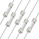 ファストブローヒューズリード線 5mm x 20mm 250V F10A セラミックヒューズ 5個