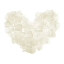 シルクの造花の花びら 結婚式用フェイクフラワー ウエディングセンターピース パーティーデコレーション用 クリームホワイト 5cm x 5cm 2000輪入り