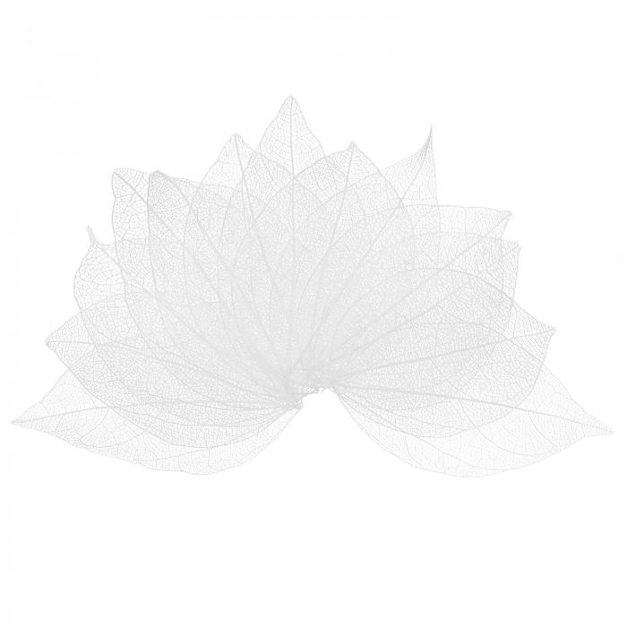 M METERXITY 100パックのスケルトンリーフ、天然ゴムの木の乾燥押し葉脈、レジン/DIYクラフトカード/ス..