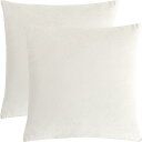 PiccoCasa 2Pcs Velvet Throw Pillow Cover Solid Decorative Sofa Cushion Cover White 16 x16