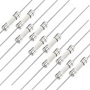 スローブローヒューズ時間遅延リード線 5mm x 20mm 250V T4A セラミックヒューズ 10個