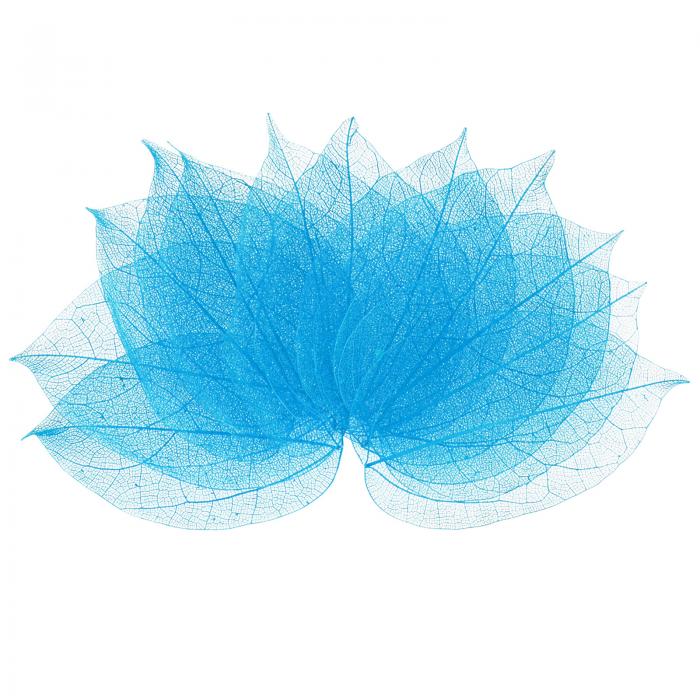 M METERXITY 100パックのスケルトンリーフ、天然ゴムの木の乾燥押し葉、樹脂/ DIYクラフトカード/スク..