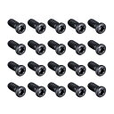 CNCトルクスヘッドネジ M4x10mm 12.9グレード炭素鋼 ブラック トルクス 20個入り(4)