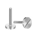 M3x20mm スロット付き丸頭大フラットヘッドねじ 5個入り 304ステンレススチールスロット付き装飾ねじ