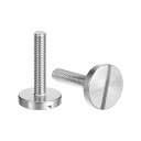 M5x25mm スロット付き丸頭大フラットヘッドねじ 2個入り 304ステンレススチールスロット付き装飾ねじ