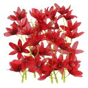 PATIKIL 18 cm 造花蘭の花 フローティングキャンドル 24個入り シミュレーションフラワーシリンダー花瓶フィラー ホームウェディングデコレーション用 レッド