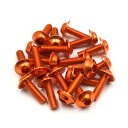 オートバイボルトスクリュー M6 x 20mm オレンジ 六角形 ライセンス プレート フェアリング ボルト スクリュー オートバイ用 20個入り