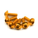オートバイボルトスクリュー M6 x 20mm ゴー ルド トーン 六角形 ライセンス プレート ボルト スクリュー オートバイ カー用 6個入り