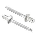 ブラインドリベット 304ステンレス鋼 プルリベットコア 装飾リベット シルバートーン 直径4.8 mm グリップ長さ9 mm 100個(4)