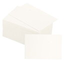 PATIKIL 60 x 90 mm ブランクペーパー名刺 100個 スモールインデックスカード フラッシュカード メッセージノートカード ミニタグ 穴付き DIYスクラップブッキング用 ホワイト