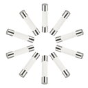 セラミックカートリッジヒューズ 7A 250V 6x30mm セラミックヒューズの高速ブロー交換 アンプ省エネランプバラスト用 10個