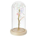 PATIKIL ガラスドームのバラの花 水晶フラワーギフトディスプレイ LEDフェアリーライト付き 卓上センターピース クリスマス ウェディング装飾用 ホワイト