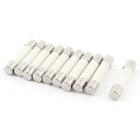 セラミックヒューズ セラミック管ヒューズ 円筒キャップ ヒュージブルコア 10個 5 x 25mm 250V 10A