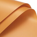 フラワーラッピングペーパー 防水フローラルラップ 明るいオレンジ ギフトパッケージ DIYクラフト ブーケパッケージ 22.8 x 22.8インチ 20枚入り