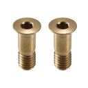 ACROPIX M5x14.2mm ゴー ルドトーン ユニバーサル自転車リアディレイラーホイールボルトスクリュー - 2個セット