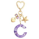PATIKIL かわいいイニシャルレターキーチェーン レターC 女性用ブリングラブバタフライスター バッグバックパック財布車のキーカップアクセサリー パープル