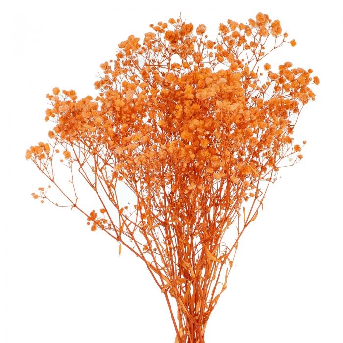 人工乾燥したベビーブレスフラワー 17インチ ギプソフィラ オレンジ ナチュラル ベビーブレス 支店 ウ..