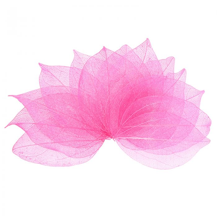 M METERXITY 100パックのスケルトンリーフ、天然ゴムツリーの乾燥押し葉、レジン/ DIYクラフトカード/..