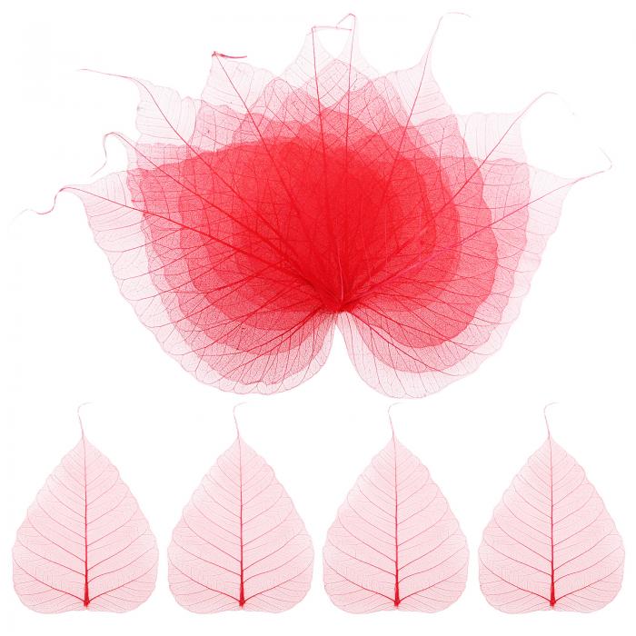 M METERXITY 100パックのスケルトンリーフ、5.1"の天然乾燥押し葉ボディスケルトンリーフ、レジン/DIY..