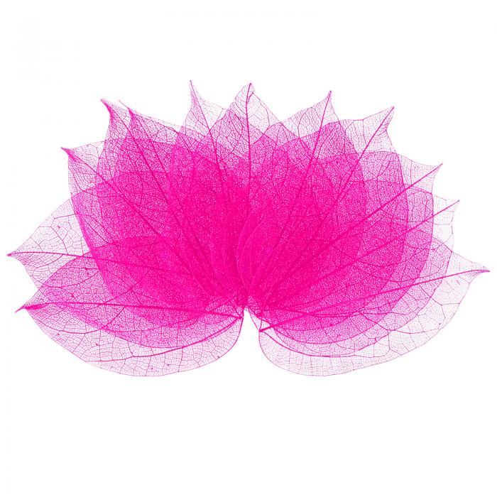 M METERXITY 100パックのスケルトンリーフ、天然ゴムツリーの乾燥押し葉、レジン/DIYクラフトカード/ス..