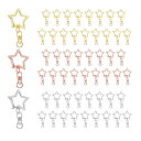 60個のメタルスプリングスナップキーチェーンクリップ、星形のスワイベルスナップクラ スプキーリングクリップ、チェーンハンギングバックル、DIYクラフトバッグ装飾...