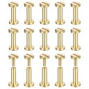 25パック真鍮シカゴスクリュー 10x6mmフラットヘッドスクリューバックバインディングポストネイルスタッドリベット DIYレザークラフトベルトストラップ用 真...