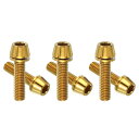 PATIKIL M5x20mm チタン製自転車ステムボルト、6個入り ヘックステーパーヘッドボルト マウンテンバイク用ボルト交換ワッシャー付き 自転車ステムパー...