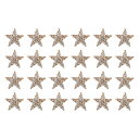 24個 星アイロンパッチ スターラインストーン接着アップリケ 4cm パッチ ダイヤモンド付き ハット バッグ 帽子 装飾用 縫い付けパッチ 茶色