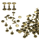 100セット ダブルキャップレザーリベット 9x10mm 丸キャップチューブ状メタルスタッズ 生地用ベルトブーツバッグ用 レザークラフトリベット ブロンズ