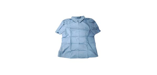 Allegra K ボタンダウンシャツ 無地トップス 半袖 パフスリーブ 折り襟 襟付き 通勤 通学 レディース ブルー L