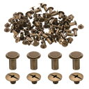 50セット m5 x 10mm シカゴねじ 金属 クロスヘッド バインディングスクリュー ポスト ネイル リベット スタッド スクリュー リベット DIY レザ...