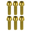 X AUTOHAUX MTBバイク用の耐久性のあるM6x20mmソケットヘッドキャップボルトスクリュー6個セット スチール製 金トーン