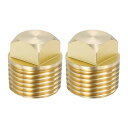 PATIKIL 12.7 mm N PT ボート排水プラグ 2個 真鍮 スペアガーボード排水プラグ スクエアヘッド付き カヤック用 ほとんどのボートの船体適合 ...