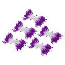 PATIKIL 双頭の花の雄しべ 造花の雄しべ雌しべ 手作り 真珠の花の雄しべ DIY クリスマスカード 結婚式の装飾用 バイオレット