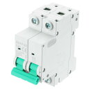 1個 ミニチュアサーキットブレーカー 2P 20A AC 110V DZ47-63 DINレールマウント切断スイッチ サーキットブレーカー保護 熱磁気トリップ ショートサーキット保護 過負荷 緑