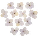 PATIKIL 乾燥押し花 レジンDIYクラフト用48個セット ネイルアート カード スクラッ プブッキング 宝石メイキング 花 装飾 キャンドルデコレーション...