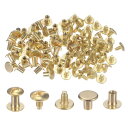 丸皿頭ネジボタン 金属 スタッドネジリベット DIY レザー クラフト製本用 8 mm 金色トーン 100セット