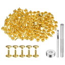200セットのレザーリベット 9mm x 10mmの金属製ダブルキャップリベットスナップスタッズファスナーと3個の取り付けツール レザークラフトDIY修理装飾用 金色トーン