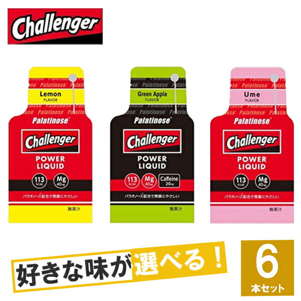 ☆レビュー記入でクーポンプレゼント ☆Challenger チャレンジャー POWER LIQUID チャレンジャー・パワーリキッド 選べる3味6個セット【ジェル トレイルランニング トレラン ランニング 行動食 …