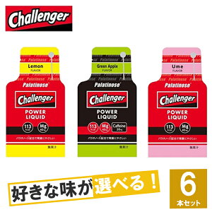 Challenger(チャレンジャー) POWER LIQUID(チャレンジャー・パワーリキッド)選べる3味6個セット【ジェル トレイルランニング トレラン ランニング 行動食 補給食 健康食 おいしい マラソン エネルギーゼリー ジェル】#select