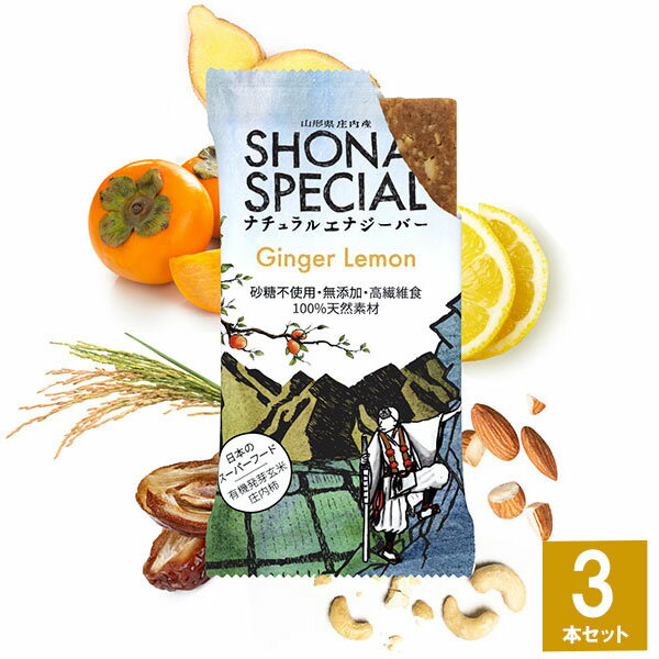 Shonai Special(祦ʥڥ) ʥ륨ʥС 󥸥㡼ߥ 3 л ޥ饽 ˥ ȥ쥤˥ ȥ饤 ư 뿩 ƥե꡼