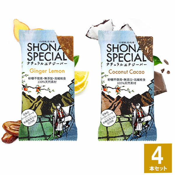 Shonai Special(ショウナイスペシャル) ナチュラルエナジーバー 2味4本セット(ジンジャー×レモン2本、ココナッツカカオ2本) 【登山 マラソン ランニング トレイルランニング トライアスロン 行動食 補給食 グルテンフリー】