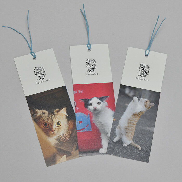 猫 しおり ブックマーク 和猫 キジトラ猫 茶トラ猫 ハチワレ猫 オシャレ かわいい デザイン ステーショナリー プレゼント ギフト 日本製 猫グッズ 雑貨 猫...