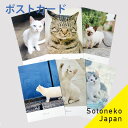 猫 ポストカード 猫グッズ ねこポス